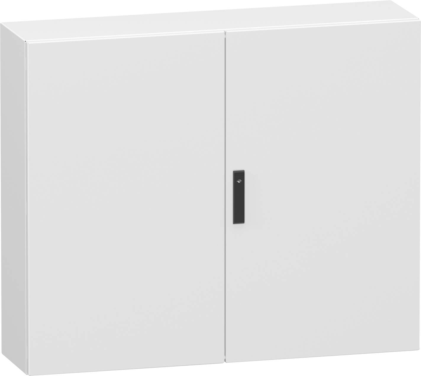 Schneider Electric Dörr 1200 x 1000 x 300 Stål Grå (RAL 7035) 1 st