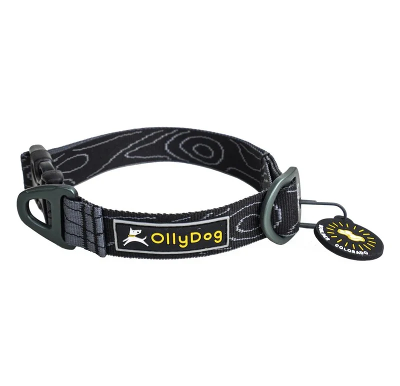 OllyDog Flagstaff Hundhalsband (46-74 cm), grå