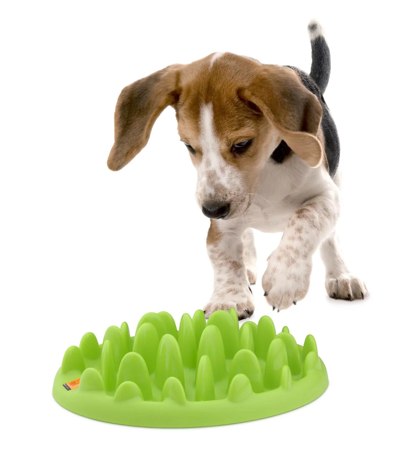 Aktiveringsplatta/Matskål – NorthMate Green Mini