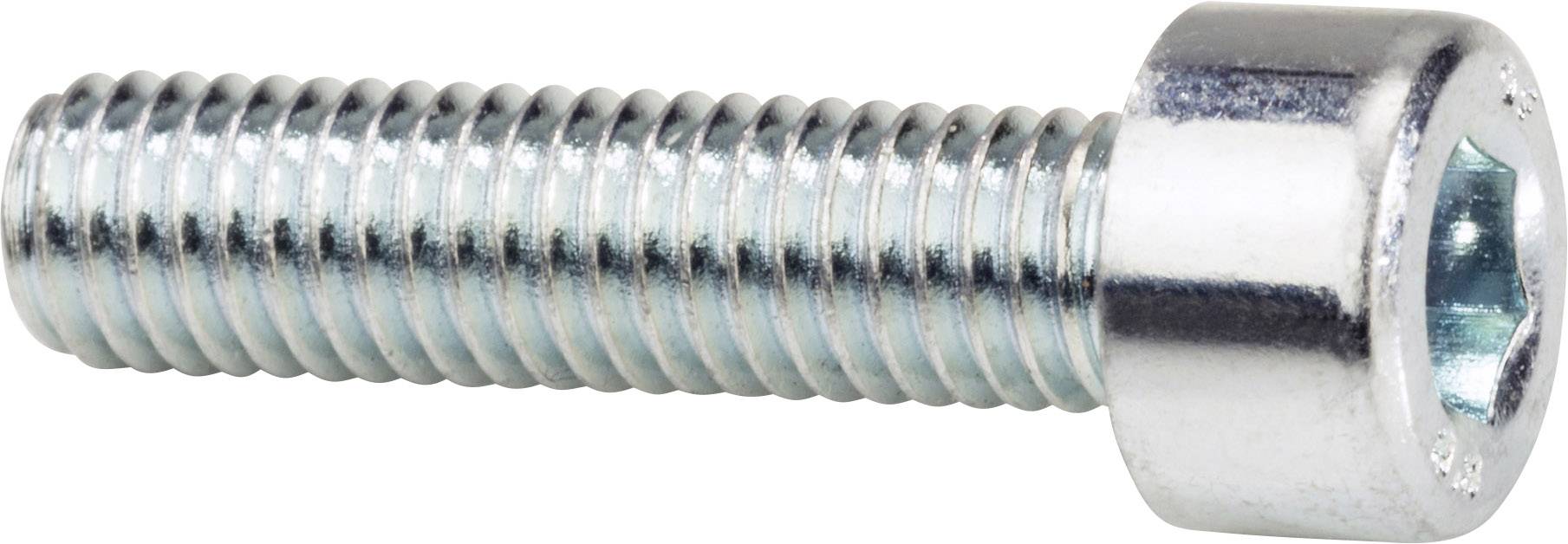 Skruv DIN 912 839591 10 mm 100 st