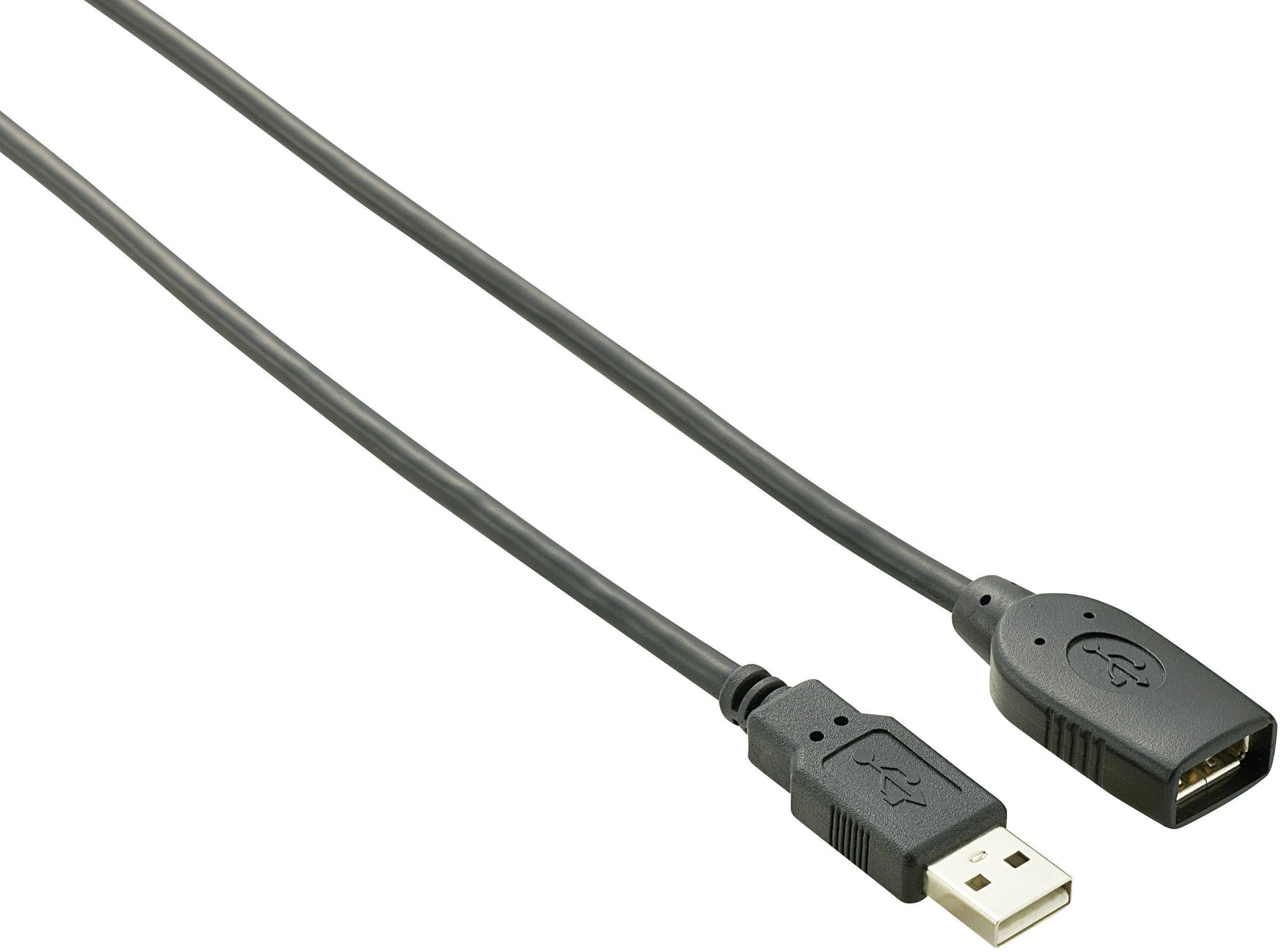 Renkforce USB-kabel USB 2.0 USB-A kontakt, USB-A uttag 10.00 m Svart guldpläterad kontakt RF-4096104
