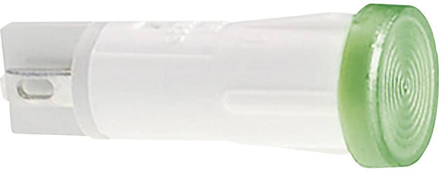 RAFI 1.69.525.216/1600 Standard signallampa med ljuskälla (value.1376971) Blå 1 st